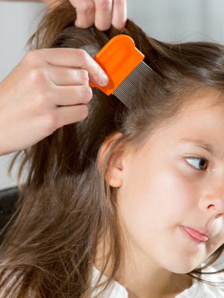 Head Lice & Scabies